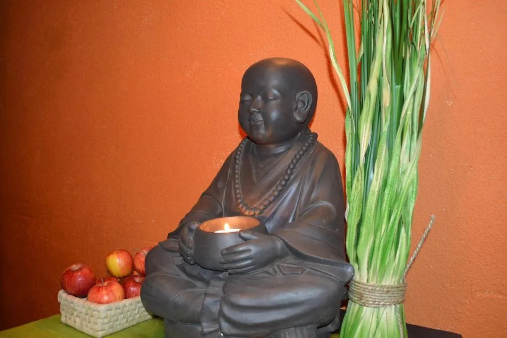 *** 招待所 祖阿尔坦穆赫膳食公寓酒店 索尔登 奥地利